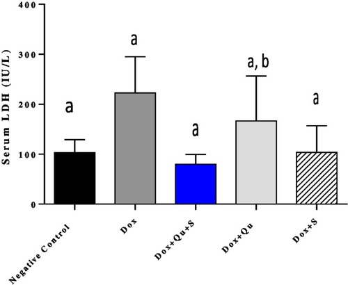 Figure 5 Effect of quercetin and/or sitagliptin on serum LDH level.
