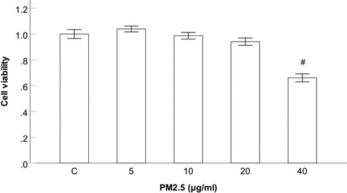 Figure 2 Effect of PM2.5 on viability of the HBECs.
