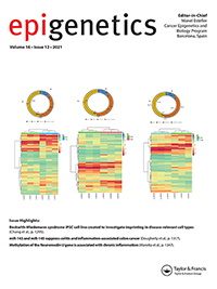 Cover image for Epigenetics, Volume 16, Issue 12, 2021