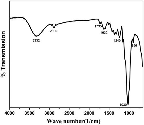 Figure 2. FTIR spectra of miswak powder.
