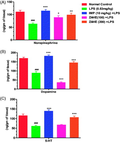 Figure 5. Effect of ZAHE pretreatment in LPS challenged animals on (A) NE, (B) DA and (C) 5-HT in mice HC. Values represent the mean ± SEM. (N = 6 animals/group). ###p < 0.001, ##p < 0.01, #p < 0.05 compared with normal control. *p < 0.05; **p < 0.01; ***p < 0.001 compared with LPS challenged group.