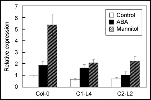 Figure 1 Expression of ABA2 in Col-0 and transgenic Arabidopsis lines overexpressing TaCRY genes. Total RNA was extracted from 15-day-old T2 transgenic seedlings grown on MS plates (control), on MS plates for 12 days and then on MS plates supplemented with 300 mM mannitol or 10 µM ABA for three days. Error bars indicate SD. Col-0: wild type; C1-L4: TaCRY1a-GFP overexpressing line; C2-L2: TaCRY2-GFP overexpressing line.
