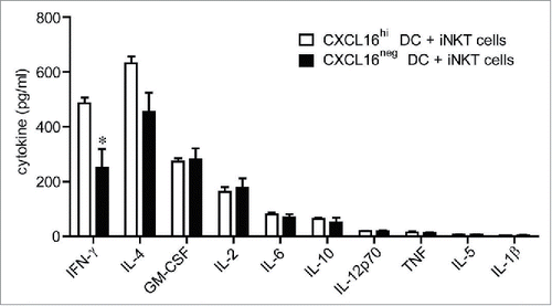 Figure 3. In vitro cytokine responses of iNKT cells stimulated with glycolipid-loaded CXCL16hi or CXCL16neg DCs. CD11c+ DCs were enriched from the spleen by magnetic sorting and loaded overnight with α-GalCer (200 ng/mL). DCs were sorted into CXCL16hi and CXCL16neg subsets and incubated with sorted iNKT cells (CD1d-tetramer+ TCRβ+) for 24 h, at a ratio of 1:2, DCs to iNKT cells. Cytokine levels in culture supernatants were examined using a cytokine array (n = 5–6 per group). *p < 0.05 compared with CXCL16hi DCs.