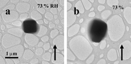 FIG. 6 Images of NaCl particles as the RH was raised and held at 73%. The particles were located at opposite sides of the sample grid and show that water uptake on the surfaces of the particles was independent of electron dosage (i.e., the particle shown in image a was exposed to the electron beam for significantly longer than the particle shown in image b). The particles were prepared using the bubbler method and were deposited on an ultra-thin carbon film with a holey-carbon support film.