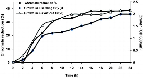 Figure 2. Growth and Cr(VI) reduction efficiency of Halomonas sp. M-Cr grown in LB broth, pH 10, in the absence and presence of 50 mg L−1 Cr(VI) and incubated at 30 °C under shaking at 120 rpm.