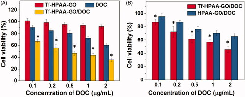 Figure 5. (A) HNE-1 cells viability after incubated with blank Tf-HPAA-GO, free DOC and Tf-HPAA-GO/DOC for 24 h (37 °C and 5% CO2, n = 5). (B) HNE-1 cells viability after incubated with Tf-HPAA-GO/DOC and HPAA-GO/DOC for 4 h (37 °C and 5% CO2, n = 5).