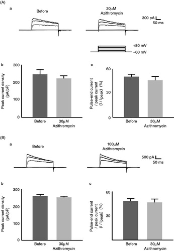 Figure 2. Effects of azithromycin on Kv1.3 channel currents in murine thymocytes. The effects of 30 µM (A) and 100 µM (B) azithromycin. (a) Typical whole-cell current traces at different voltage-steps recorded before and after either drug application. The currents were elicited by voltage-steps from the holding potentials of −80 mV to −40, 0, 40 and 80 mV, as shown in the voltage protocol. Each pulse was applied for a 200-ms duration between 10 s intervals. (b) Peak current densities (peak currents normalized by the membrane capacitance) obtained from the records in (a) at the voltage-step of 80 mV. (c) Percentages of the pulse-end currents relative to the peak currents (100 * I/Ipeak) obtained from the records in (a) at the voltage-step of 80 mV. Values are means ± SEM (n = 5). Differences were analyzed by ANOVA followed by Dunnett’s or Student’s t test.