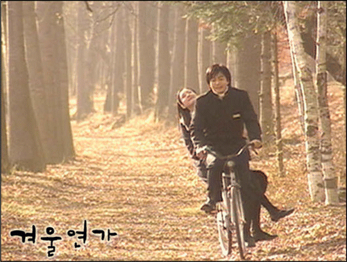 Figure 1. The characters in the TV series Winter Sonata riding a bicycle along the redwood-lined road I (still).