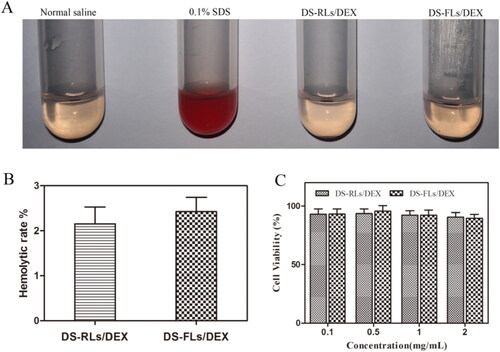 Figure 4. Biosecurity of DS-RLs/DEX and DS-FLs/DEX. (A) Hemolysis images and (B) statistics result of hemolysis ratio. (C) MTT assay to detect the cellular toxicity on HUVEC cells.