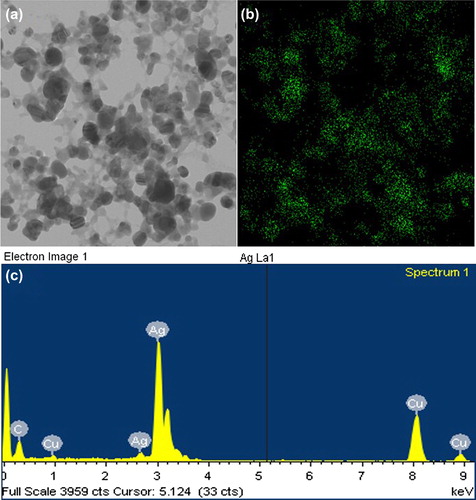 Figure 3. TEM micrograph of silver nanoparticles pellet solution (a), silver nanoparticles, 48.36%, green (b). EDX spectrum analysis showing major peak of silver nanoparticles at 3 keV, corresponds to silver nanoparticles (c).