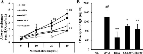 Figure 2. CSE inhibited AHR and OVA-specific IgE in asthmatic mice. (A) Airway resistance. (B) OVA-specific IgE level in serum. NC: normal control; OVA: asthma group; DEX: asthma with dexamethasone-treated group; CSE30 and CSE100: asthma with CSE-treated group (30 and 100 mg/kg). Data presented as means ± SD (n = 7). ##p < 0.01 compared to the NC group, *p < 0.05 and **p < 0.01 compared to the OVA group.