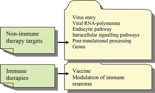 Figure 2. Therapies outline in COVID-19. Nonimmune therapies that target various viral and infected cell mechanisms outrun the immune-related therapies that comprise only vaccination and immune modulation