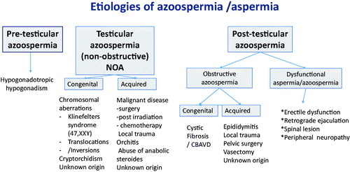 Figure 1. Aetiologies of azoospermia/aspermia.