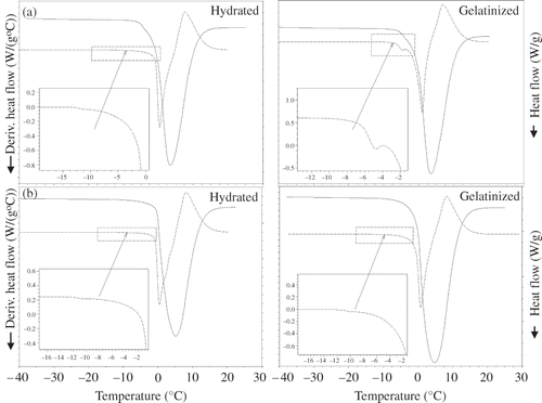 Figure 1 DSC thermograms for glass transition temperatures of (a) amioca and (b) normal corn starch in hydrated and gelatinized forms (dashed lines represent the first derivative of heat flow).
