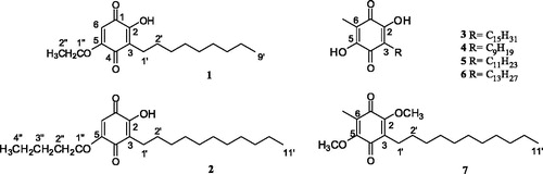 Figure 1. New alkylated benzoquinones (1–3) and known analogues (4–6) from A. corniculatum.