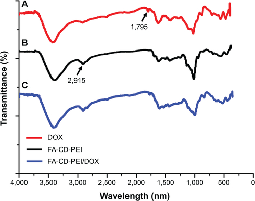 Figure S1 FTIR spectra of DOX (A), FA-HP-β-CD-PEI nanocarriers (B), and FA-HP-β-CD-PEI/DOX nanocomplexes (C).Abbreviations: FTIR, Fourier-transform infrared; DOX, doxorubicin; FA, folic acid; HP-β-CD, hydroxypropyl-β-cyclodextrin; PEI, polyethylenimine.