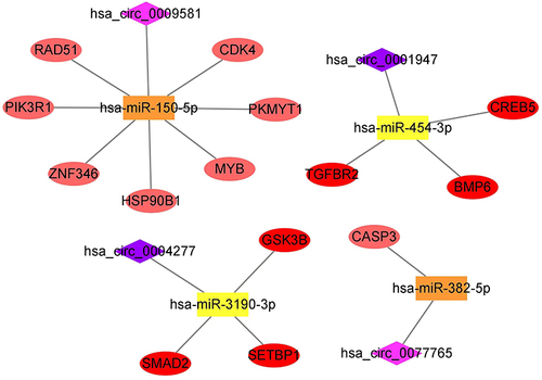 Figure 6 ceRNA network. circRNAs, and miRNAs, hub-genes are shown in purple, yellow, and red respectively. circRNAs: dark purple: rising, light purple: falling; miRNAs: dark yellow: rising, light yellow: falling; hub-genes: dark red: rising, light red: falling.