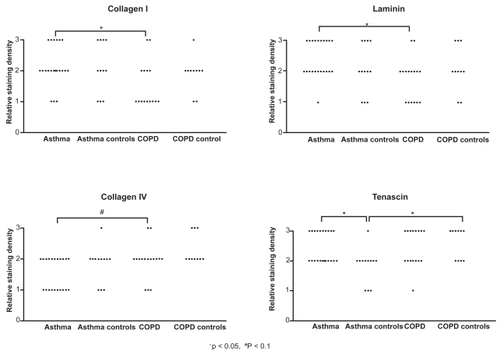 Figure 2 Reticular basement membrane composition. Relative staining density of collagen I, laminin, collagen IV, and tenascin in the reticular basement membrane of airway wall biopsies in asthma and COPD patients, and their healthy matched control subject. Results of collagen III and V are not shown as there were no significant differences between any of the groups.