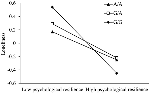 Figure 2 The simple plot between psychological resilience and loneliness.