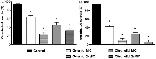 Figure 2. Percentage of germinated conidia of Trichophyton rubrum ATCC 1683 (a) and LM 422 (b) in the absence (control) and presence of geraniol (MIC: 32 g/mL; 2 × MIC: 64 g/mL) and citronellol (MIC: 128 g/mL; 2 × MIC: 256 g/mL). *p < 0.05 compared with control.