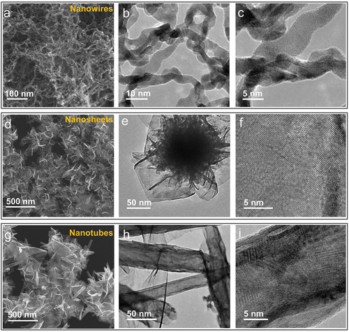 Figure 2. Electron microscopy of Pt nanostructures. Pt nanowires: (a) SEM image and (b, c) TEM images; Pt nanosheets: (d) SEM image, (e, f) TEM images; Pt nanotubes: (h) SEM image and (h, i) TEM images.