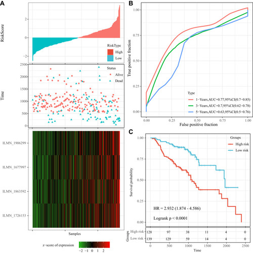 Figure 4 (A) Risk score, survival time and survival status, expression of 4 lncRNAs in the training cohort; (B) ROC curve and AUC of 4-lncRNA signature classification; (C) KM survival curve distribution of 4-lncRNA signature in the training cohort.