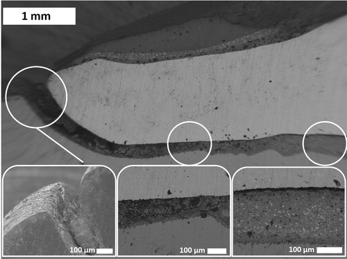 Figure 4. SEM images taken on a vertically cross-sectioned zinc phosphate cement sample in vivo aged for 6 years (sample a) revealing cracking and loss of cement at the margin end. Insets are images taken with higher magnification at the spots indicated by the circles.