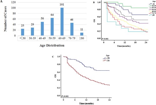 Figure 5. Age distribution and 2-year OS of AML patients in different age groups. A: Distribution of patients in different age groups. B: The OS of patients of different ages. C: OS of patients aged ≥50 years and <50 years.