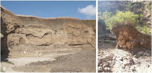Figure 5. Bank erosion (a) Tuka Meja drainage (b) Godeti drainage.