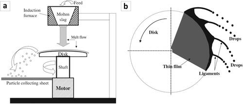 Figure 5. (a) Schematic layout of the rotating disk atomization of liquid stream, and (b) droplet formation during the CA process (Reproduced with permission from[Citation47]).