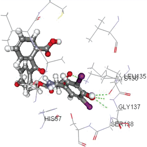 Figure 4.  Docking pattern of the piptidomimetic diiodophenol lead (2) with HCV NS3-binding site. It showed Dock energy = −56.81 Kcal/mol, and hydrogen bonds with Leu135(1.98 Å), Lys136(1.93 Å), Gly137(1.97 Å), Ser138(2.48 Å) (amino acids surrounding the catalytic triad).