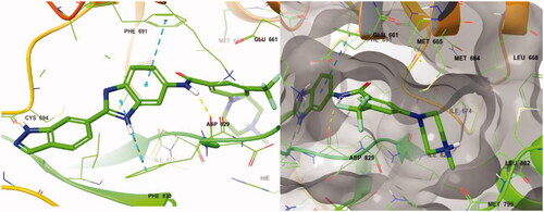 Figure 4. Docking structure of compound 8a at the active site of FLT3 (Left) and at the hydrophobic pocket adjacent to the ATP-binding site (Right).