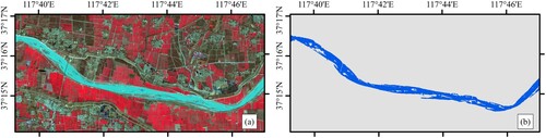 Figure 10. River surface water fragmentation caused by sandbars in the Yellow River. (a) Sentinel-2 image, band combination: B8 (near-infrared band), B4 (red band), B3 (green band), (b) water extraction results.