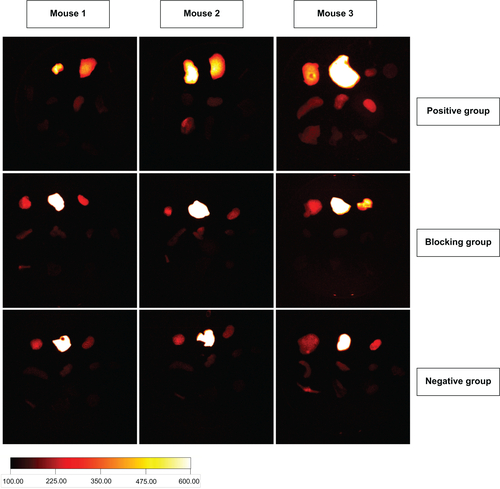 Figure S4 Biodistribution of three groups.