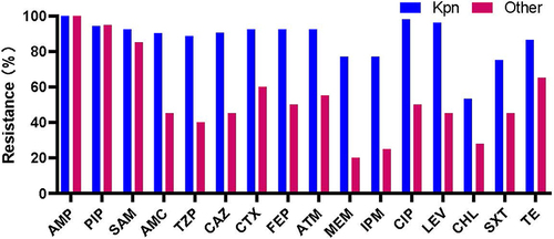 Figure 2 Comparison of antibiotic resistance percentages between 52 strains of polymyxin B-resistant Klebsiella pneumoniae and 20 strains of other Enterobacterales.
