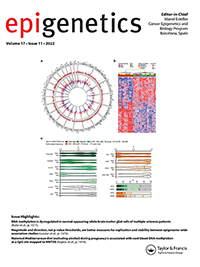 Cover image for Epigenetics, Volume 17, Issue 11, 2022