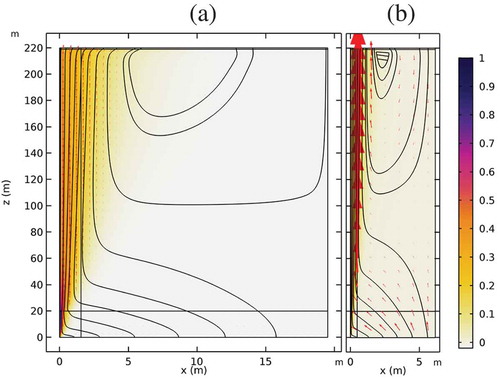 Fig. 7. The flow field and concentration profile in a 220-m-high fracture with a 20-m-high source in the lower left corner for T = 10−8 and a density difference of (a) Δρρ= 0.001 and (b) Δρρ= 0.01. The color code shows the relative concentration difference.