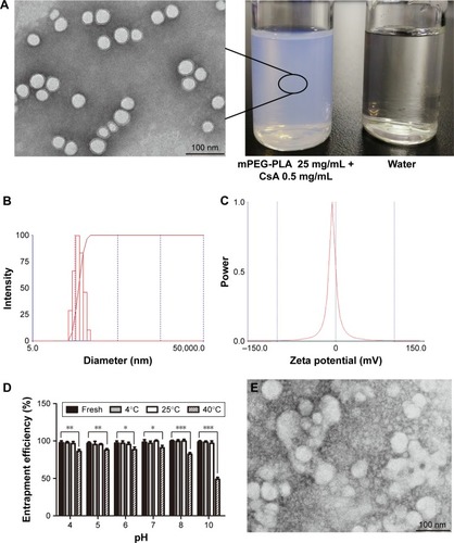 Figure 4 (A) TEM of CsA-loaded mPEG-PLA micelles and the appearance of the ophthalmic solution. (B) Representative size distribution of CsA-loaded mPEG-PLA micelles and (C) its zeta potential analysis. (D) The stability of micelles with different pH and temperature. TEM of CsA-loaded mPEG-PLA micelles after 10 days stored at (E) 40°C, (F) 60°C, and (G) 4,500±500 Lx light, respectively. n=3, mean ± SD. *, **, and *** represent P<0.05, P<0.01, and P<0.001, respectively.Abbreviations: CsA, cyclosporine-A; mPEG, methoxy poly(ethylene glycol); PLA, poly(lactide); TEM, transmission electron micrograph.