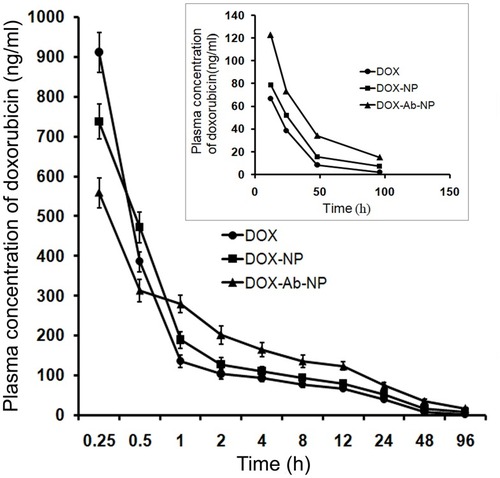 Figure 8 Plasma drug concentration upon IV bolus injection (at a dose of 10 mg/kg body weight) of DOX, DOX-NP, and DOX-Ab-NP. The same curve (time point 12–96 hrs) has been shown in the magnified version in the inset. Data show mean± SD (n=3).Abbreviations: DOX, doxorubicin; Ab, antibody; NP, nanoparticle.