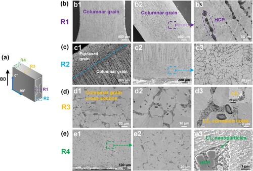 Figure 8. The anisotropy of EBPBF sample structure. (a) Schematic diagram of EBPBF samples and marking each area. (b) R1: SEM images of columnar crystals. (c) R2: SEM images of columnar and equiaxed crystals. (d) R3: L21 phase in columnar crystal cross-section. (e) R4: L12 phase in columnar crystal cross-section.