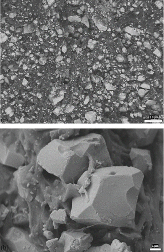 Figure 3. SEM micrographs PZT-ionomer composites (a) overview of the cross section and (b) the primary particles.