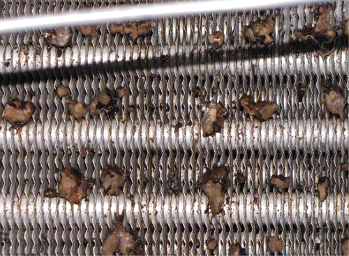 Fig. 6. Tampa site coil after 13 months of UVGI exposure.