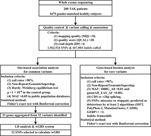 Figure 1 The basic workflow chart of the study.