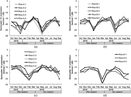 Figure 11. Representation backscatter profile of VH Sentinel-1A: (a) Rice-A, (b) Rice-B, (c) Rice-C, and (d) Rice-D