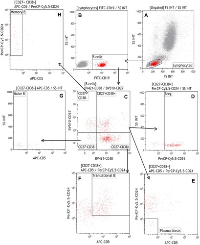 Figure 3 Gating strategy of B cell subsets (Panel 3). B cells were separated from lymphocytes (A) by CD19 staining (B), and CD27 versus CD38 gating (C) allowed the separation of B cells, including Breg stained by CD24 (D), and without CD5 and CD24 expression on plasma blasts (E); however, CD5 and CD38 were expressed on translational B cells (F), Naïve B cells identified by negative expressions of CD27, CD38, CD5 (G), and CD24 and CD27 were expressed on memory B cells (H).
