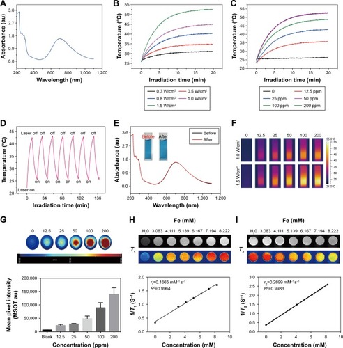 Figure 5 Photothermal conversion property, magnetic resonance imaging, and photoacoustic imaging of OPBs.Notes: (A) UV-vis absorption spectroscopy of OPBs aqueous solution. (B) Temperature profiles of aqueous 100 ppm OPBs at different power densities (0.3, 0.5, 0.8, 1.0, 1.5 W/cm2) at a wavelength of 808 nm. (C) Temperature curves of aqueous solutions of OPBs at different concentrations (0, 12.5, 25, 50, 100, 200 ppm) at a power density of 1.0 W/cm2 and a wavelength of 808 nm; (D) Temperature curves of OPBs aqueous solution before and after irradiation at a power density of 1.0 W/cm2 at a wavelength of 808 nm for 7 cycles of irradiation. (E) UV-vis absorption spectra of OPBs aqueous solution before and after irradiation at a power density of 1.0 W/cm2 at a wavelength of 808 nm for 7 cycles of irradiation (insets are representative photographs of OPBs before and after irradiation). (F) Photothermal imaging of OPBs aqueous solution. (G) Photoacoustic images and corresponding signal intensity plots of OPBs solution. (H) T1-weighted and (I)T2-weight MRI phantoms of OPBs acquired from a 0.5 T MRI system. The longitudinal relaxivity (r1) and transverse relaxivity (r2) were determined to be 0.1165 and 0.2699 mM-1S-1, respectively.Abbreviations: OPBs, optimized Prussian blue nanoparticles; UV-vis, ultraviolet-visible spectroscopy; MRI, magnetic resonance imaging; r1, the longitudinal relaxivity; r2, the transverse relaxivity; min, minutes; MSOT, multi-spectral optical tomography system.