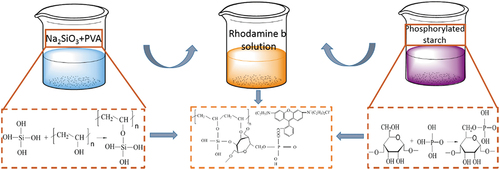 Scheme 1. The schematic preparation of dye lubricant (sizing agent) of PVA-SS-PS-RhB and reaction mechanism.