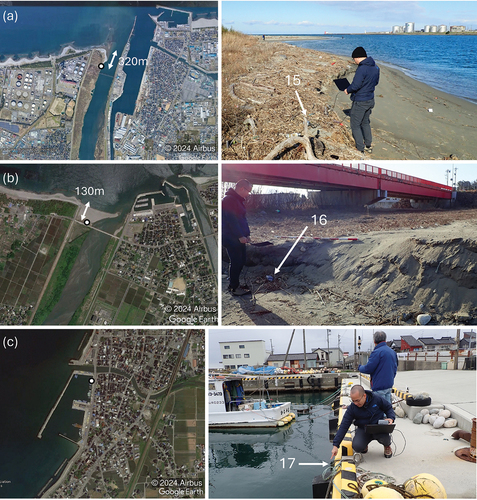 Figure 6. Satellite views and pictures of survey sites along Toyama Bay: (a) Jinzu River; (b) Joganji River and (c) Uozu South Port. Numbers correspond to the site numbers listed in table 2. Pictures were taken on February 4th, 2024.