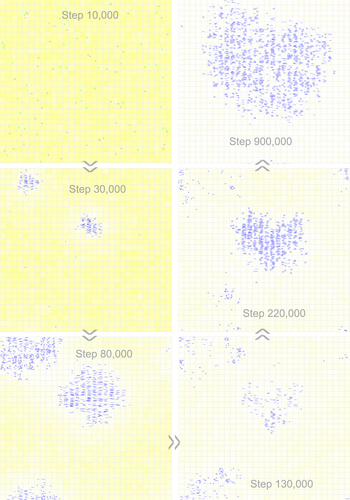 Figure 6. Snapshots showing the emergence of a circular one-gene genome and the subsequent introduction of a noncoding sequence. Raw materials (nucleotide precursors) are shown as yellow background, with colour depth representing their quantity in the corresponding grid room. At step 10,000, 50 linear RNA molecules with the sequence of REP (horizontal blue bars) and 50 linear control RNA molecules (vertical green bars) are inoculated into system (at locations chosen randomly). The snapshot at step 30,000 shows the spread of linear REP molecules (at two different regions). The snapshot at step 80,000 indicates the emergence of the 8nt circular REP genome (small blue circles at the top-left corner, also spreading to the bottom left corner because of the grid’s toroidal topology). The snapshot at step 130,000 indicates the emergence of the 12nt circular REP genome comprising a 4nt noncoding sequence (blue circles at the central part, larger than the 8nt circles). The snapshot at step 220,000 shows the spread of the 12nt genome and the simultaneous decline of the 8nt genome. The snapshot at step 900,000 shows the complete domination of the system by the 12nt genome. See Figure 5A for the evolutionary dynamics of this case.