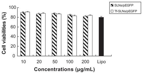 Figure 7 In vitro cytotoxicity evaluation of Tf-SLNs/pEGFP and SLNs/pEGFP.Abbreviations: Tf, transferrin; SLNs, solid lipid nanoparticles; pEGFP, enhanced green fluorescence protein plasmid.